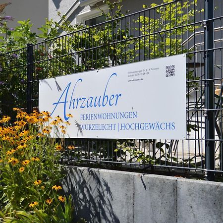 Ferienwohnung Hochgewaechs Bad Neuenahr-Ahrweiler Dış mekan fotoğraf