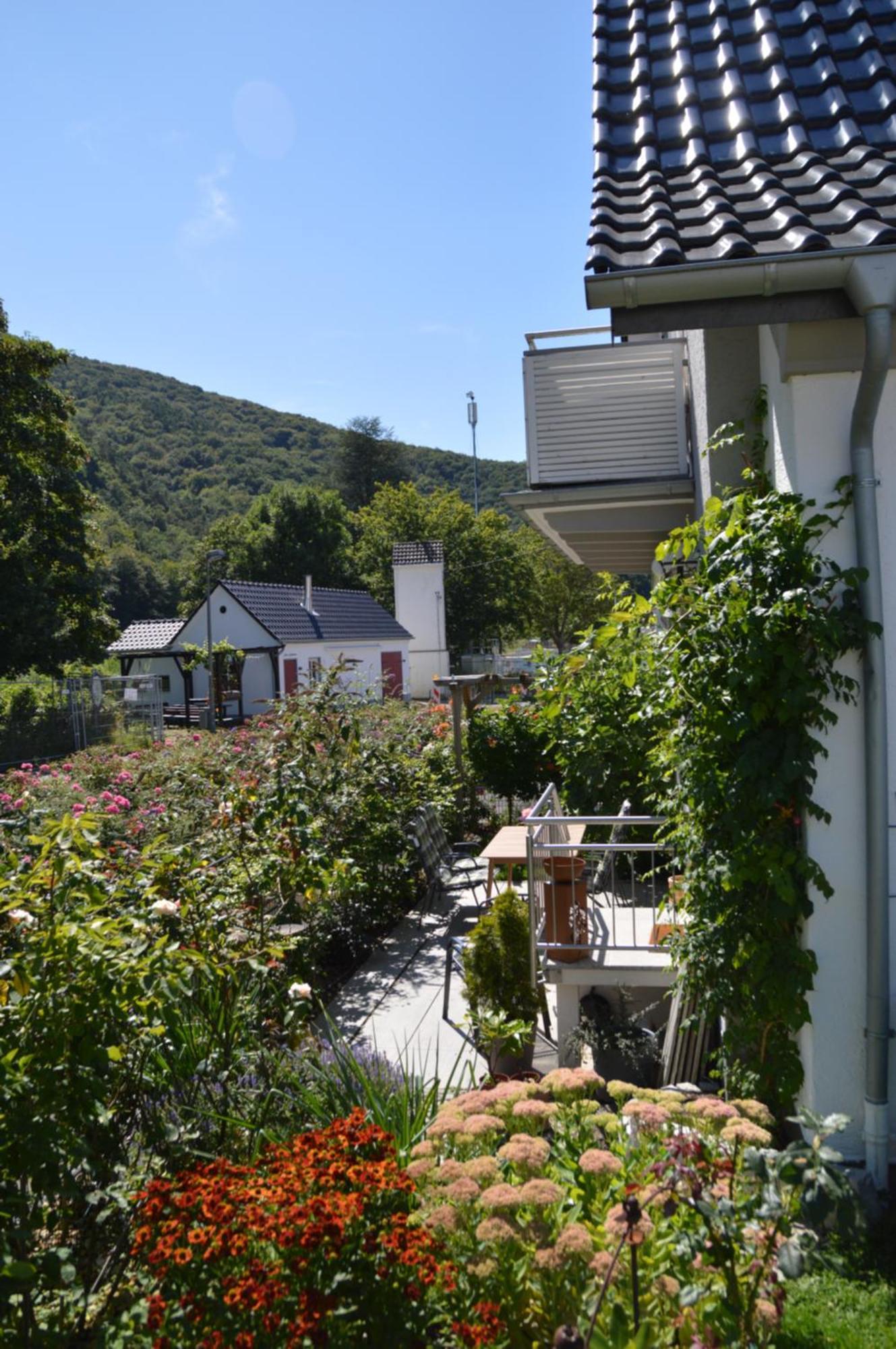 Ferienwohnung Hochgewaechs Bad Neuenahr-Ahrweiler Dış mekan fotoğraf
